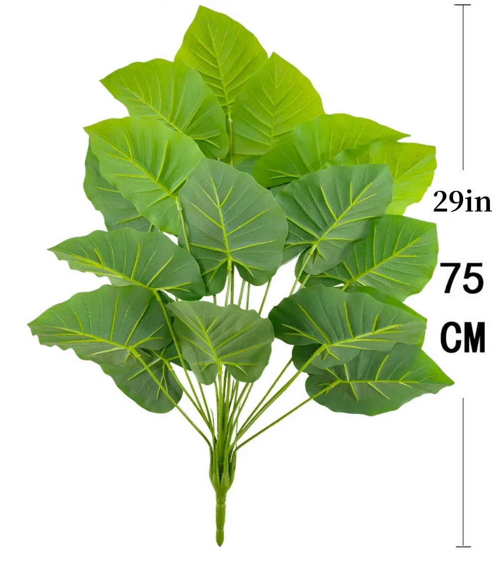 Image du produit 23