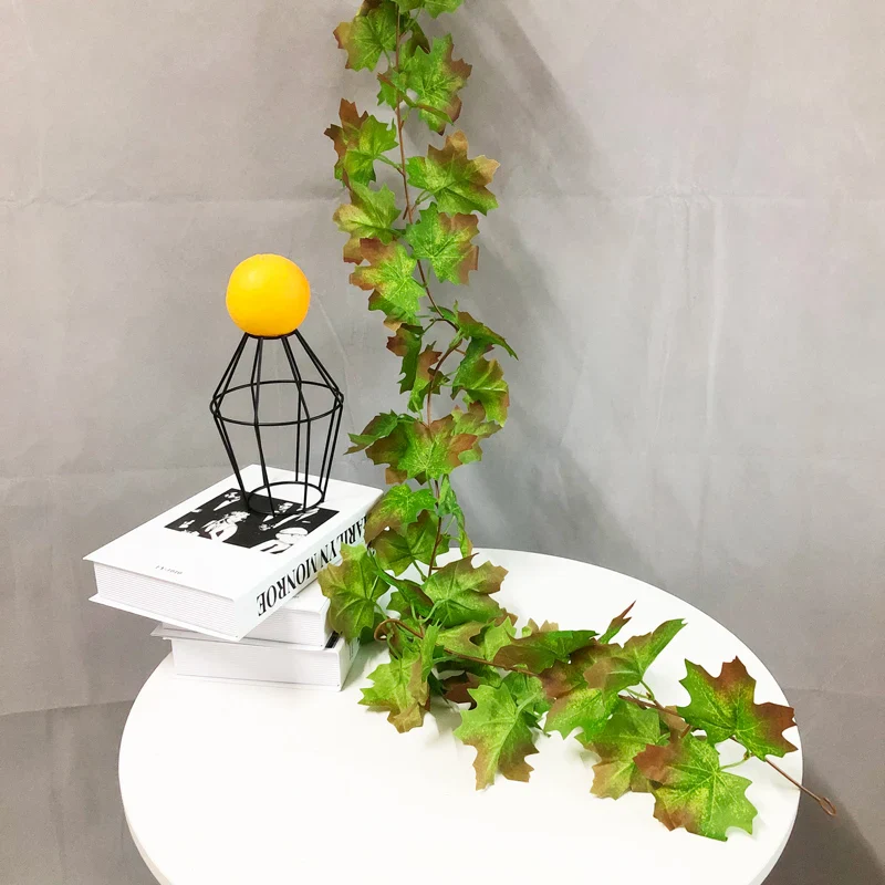 Image du produit 12