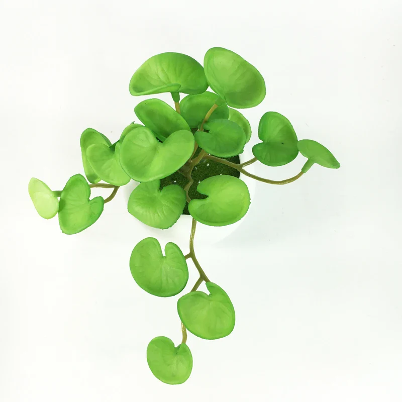 Image du produit 12