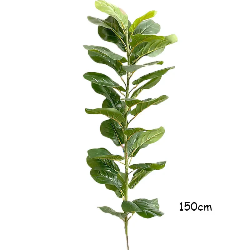 Image du produit 18