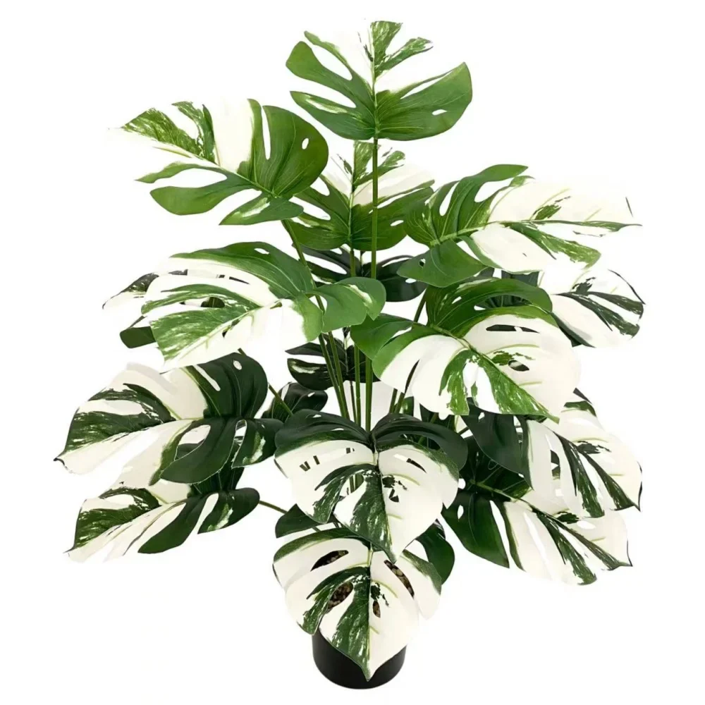 Image du produit 12