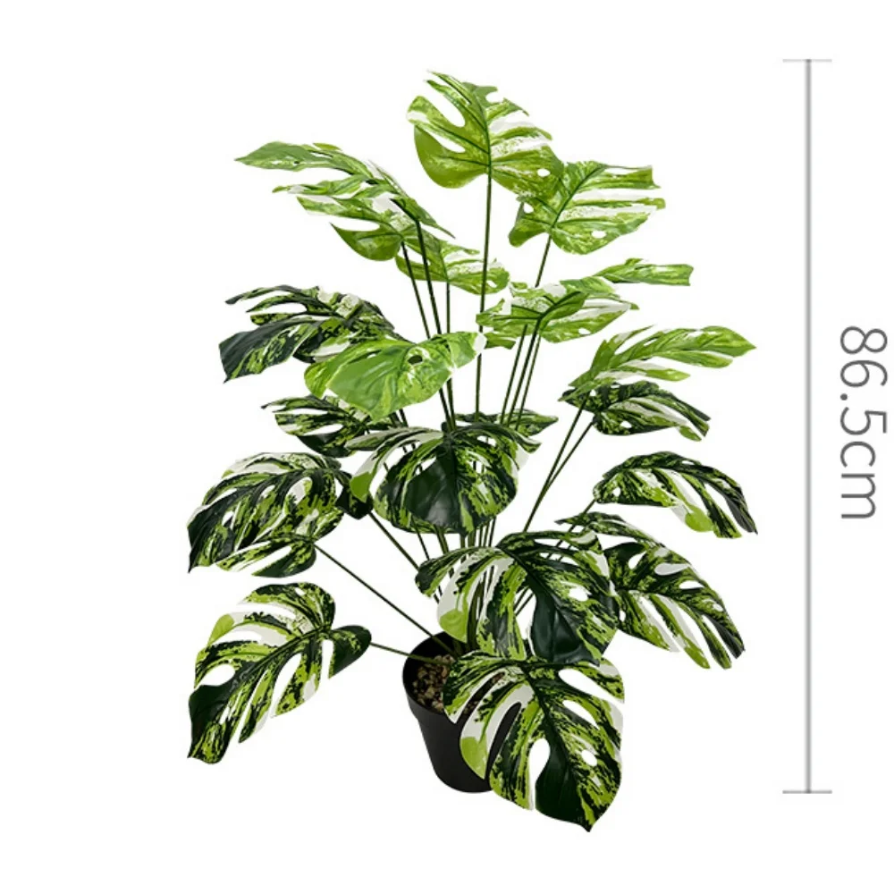 Image du produit 13