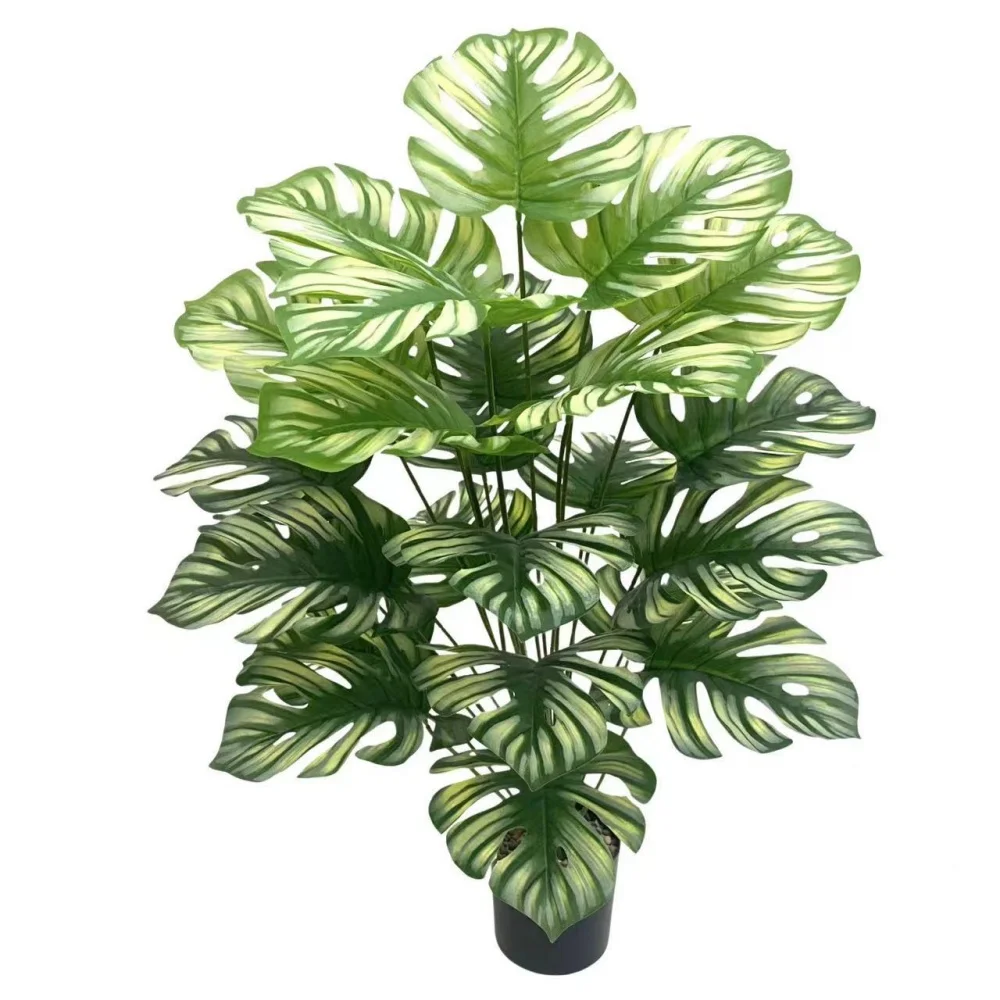 Image du produit 15