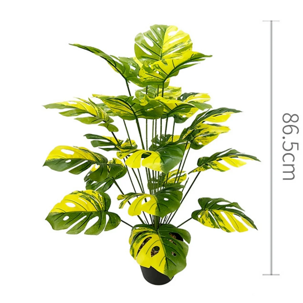 Image du produit 22