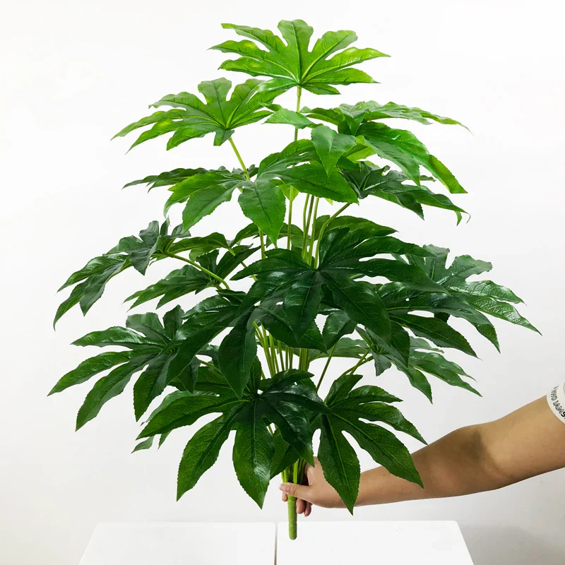 Image du produit 21
