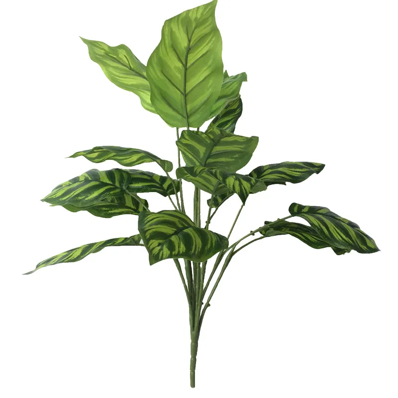 Image du produit 11