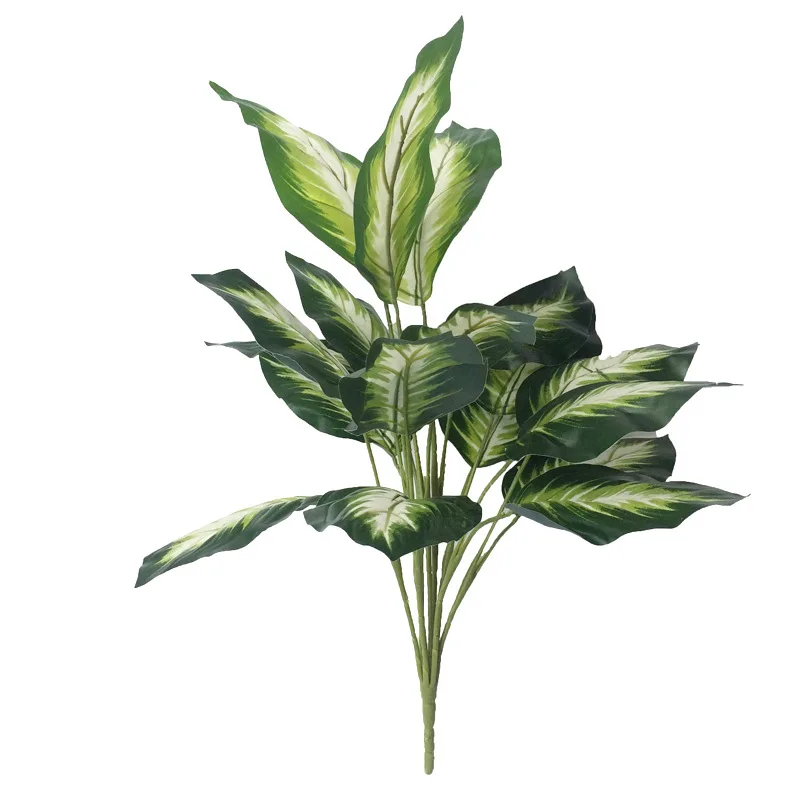 Image du produit 12