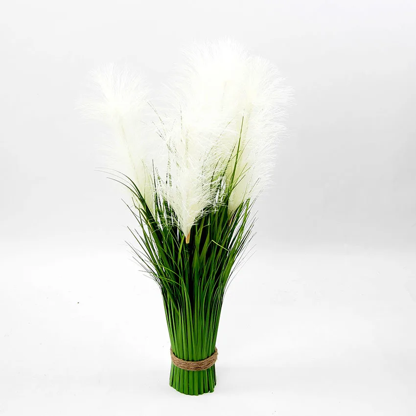 Image du produit 20