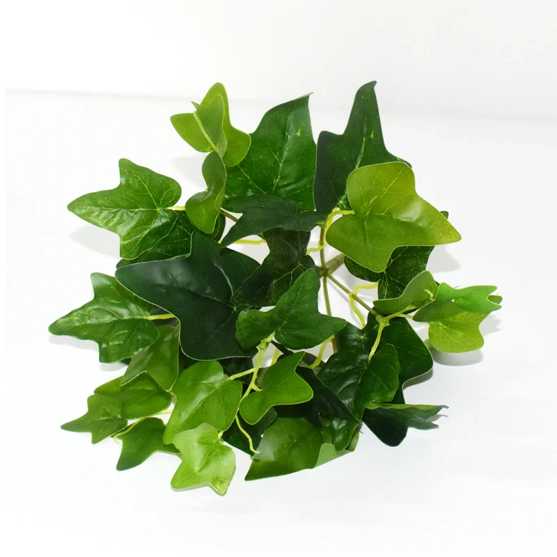 Image du produit 11