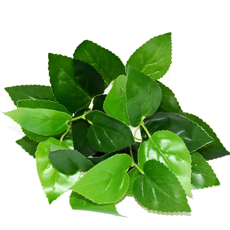 Image du produit 12