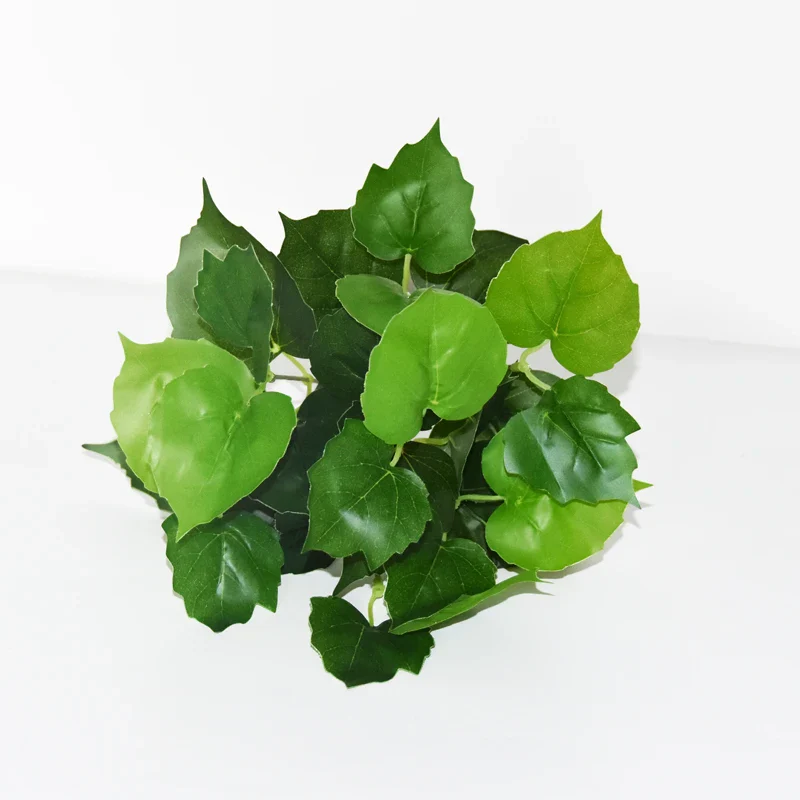 Image du produit 13