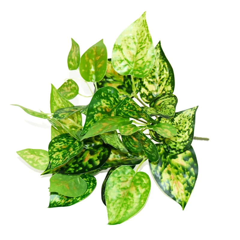 Image du produit 14
