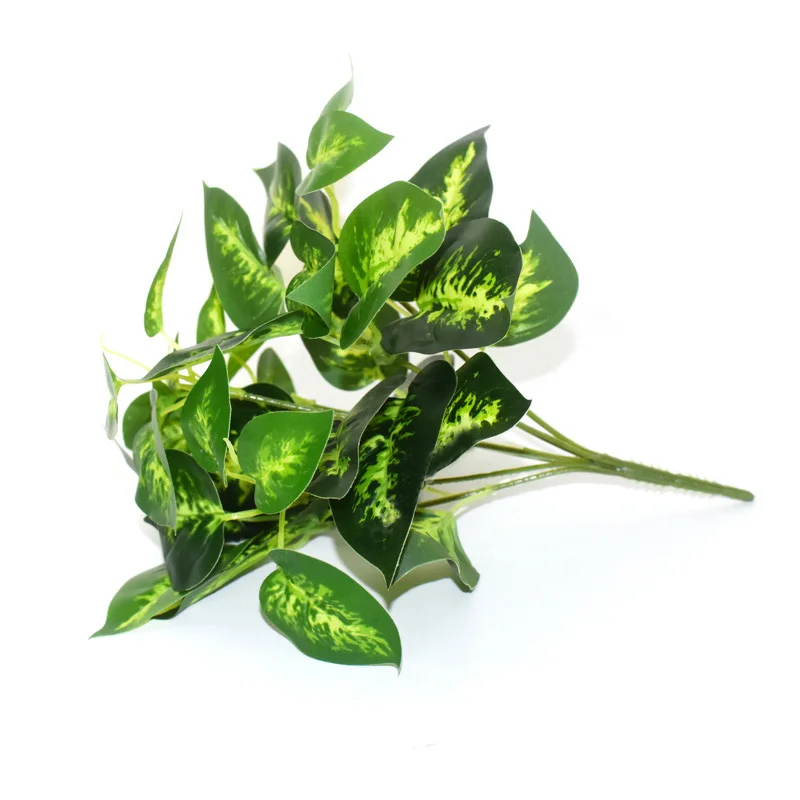 Image du produit 15