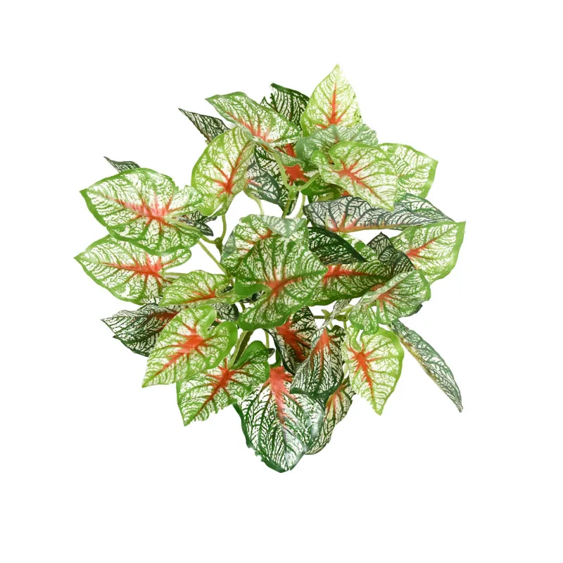 Image du produit 17