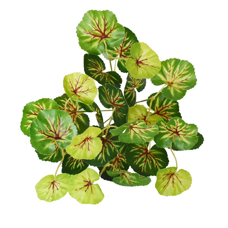 Image du produit 20