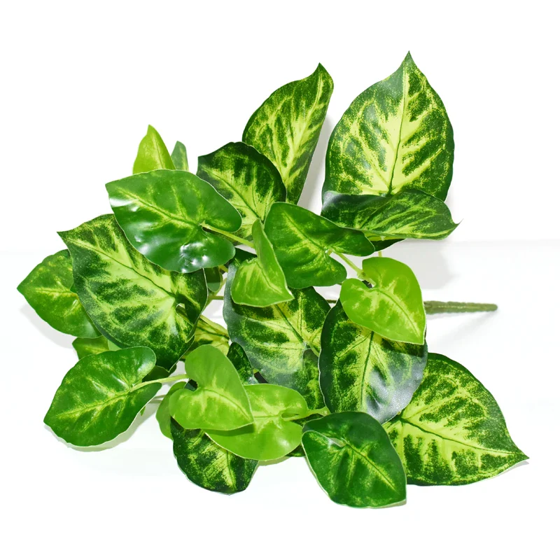 Image du produit 21