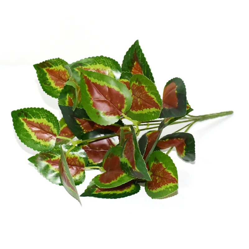 Image du produit 23