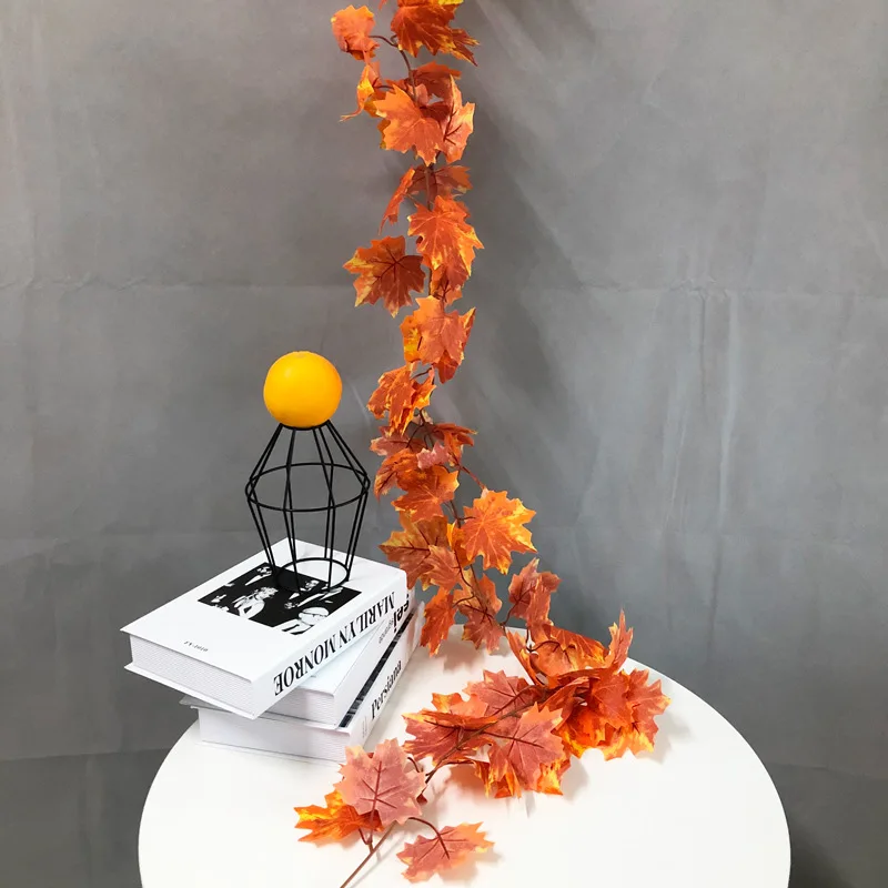 Image du produit 17