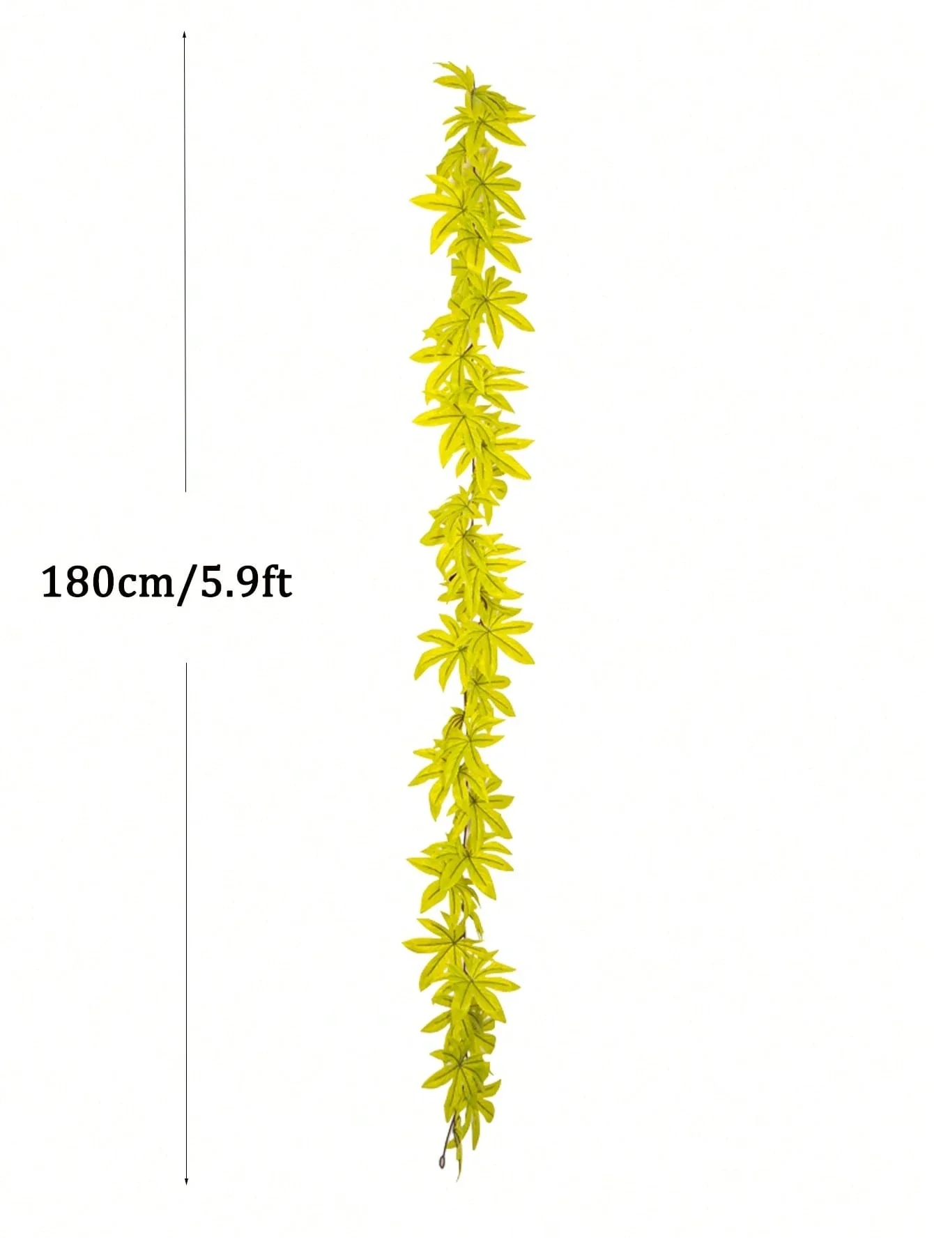 Image du produit 11