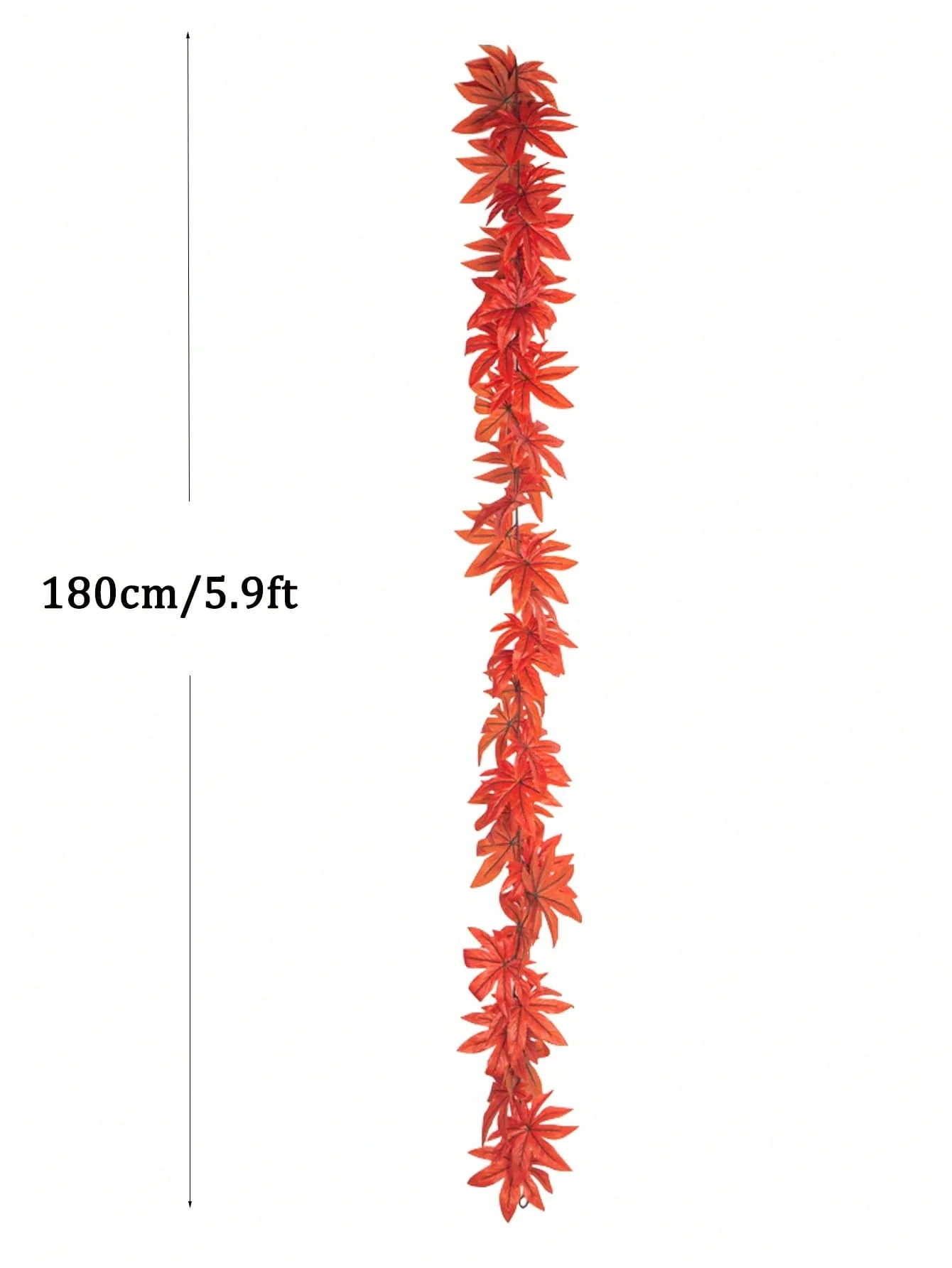 Image du produit 12