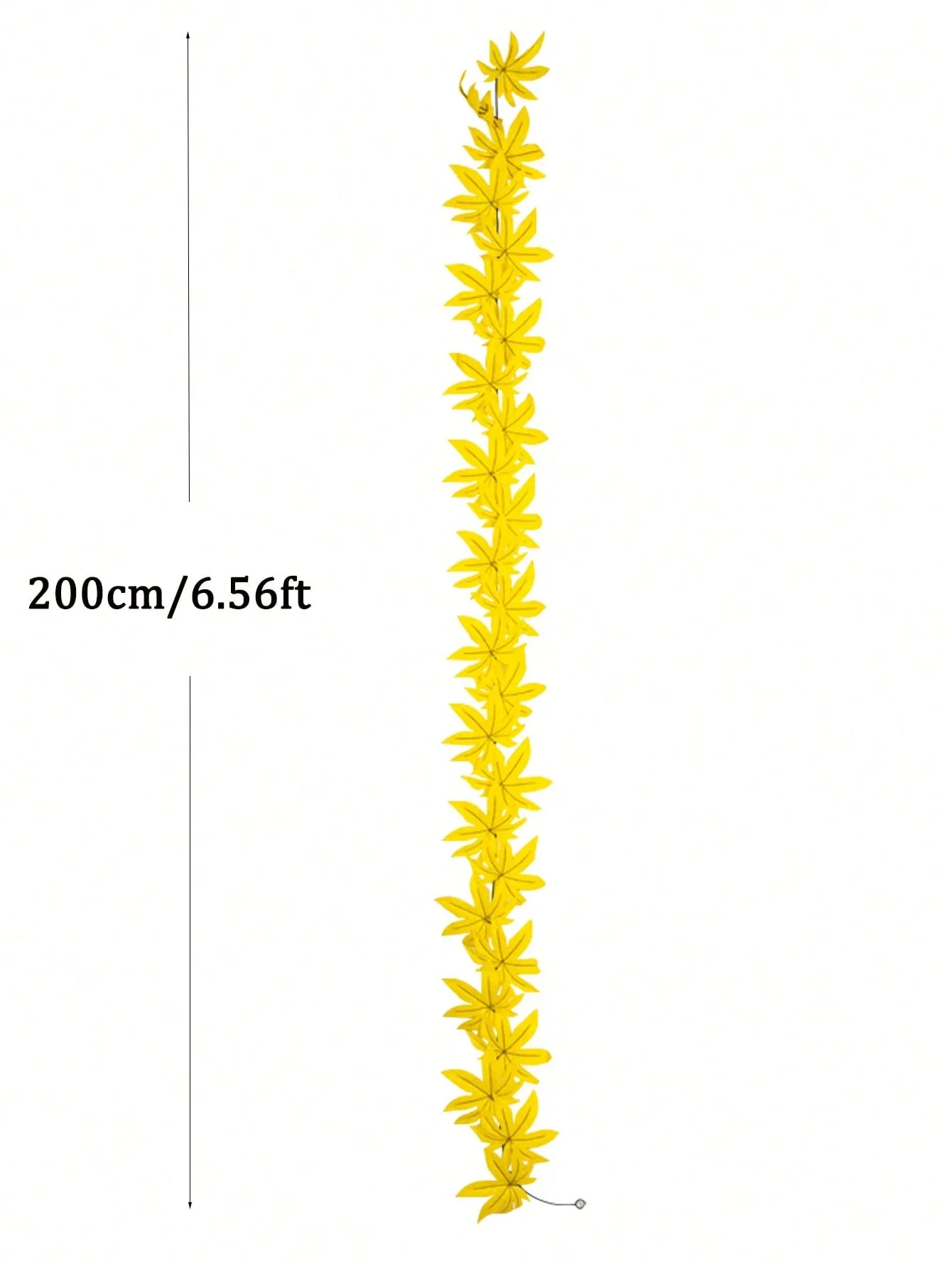 Image du produit 13