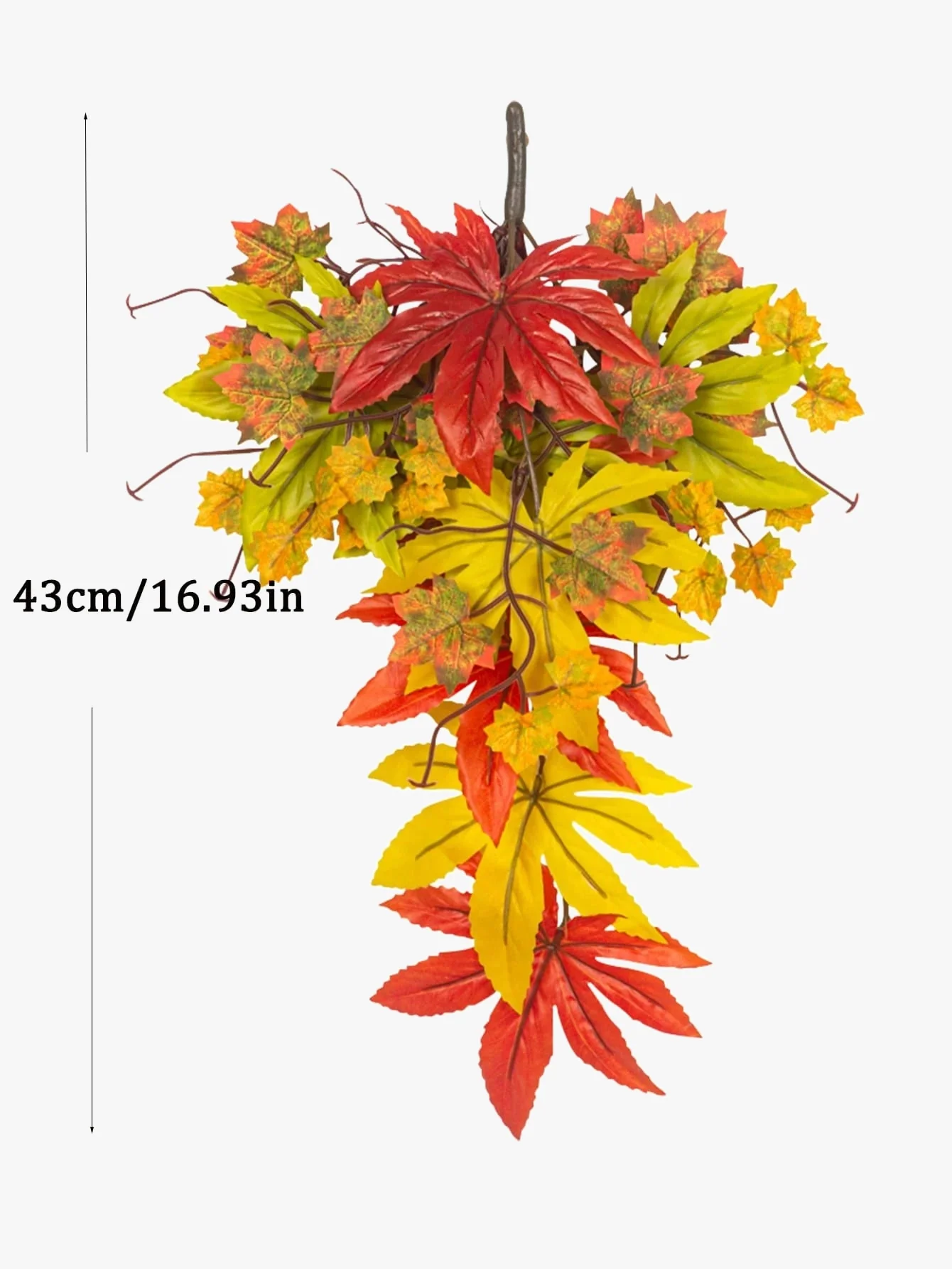 Image du produit 8
