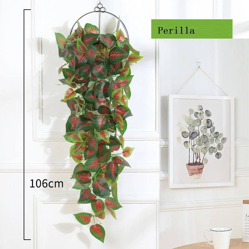 Image du produit 12