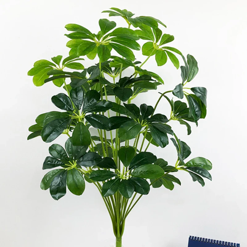Image du produit 20