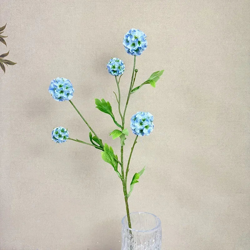 Image du produit 11