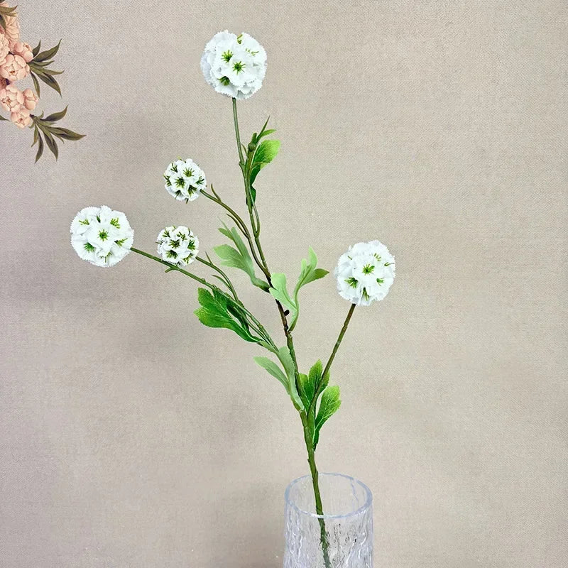 Image du produit 15