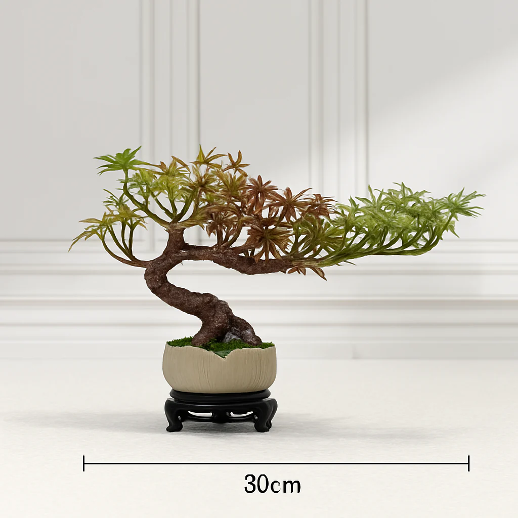 Image du produit 12