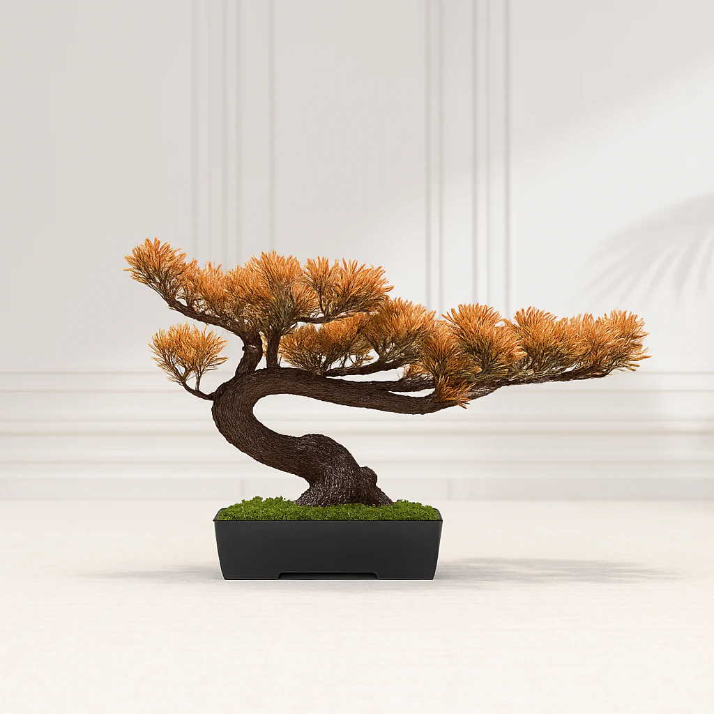 Image du produit 24