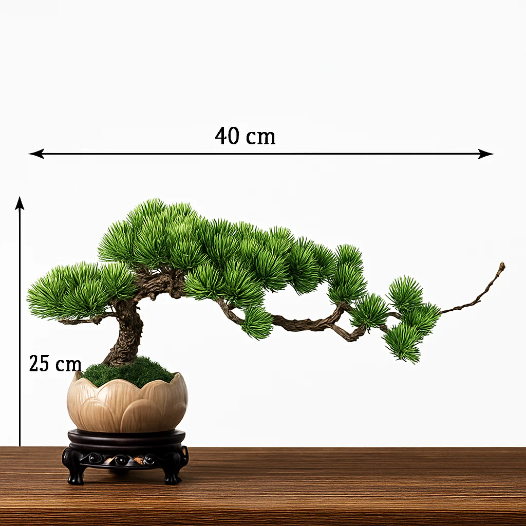 Image du produit 25