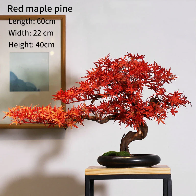 Image du produit 13