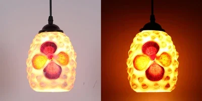 Image du produit 12